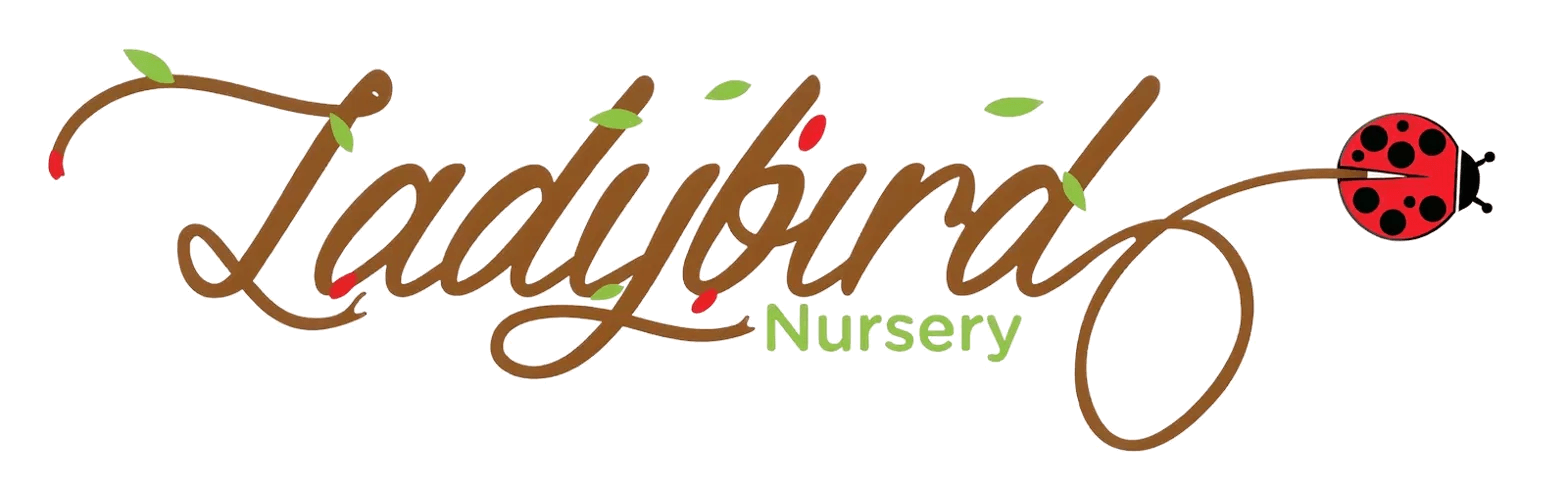 Ladybird Montessori Nursery logo