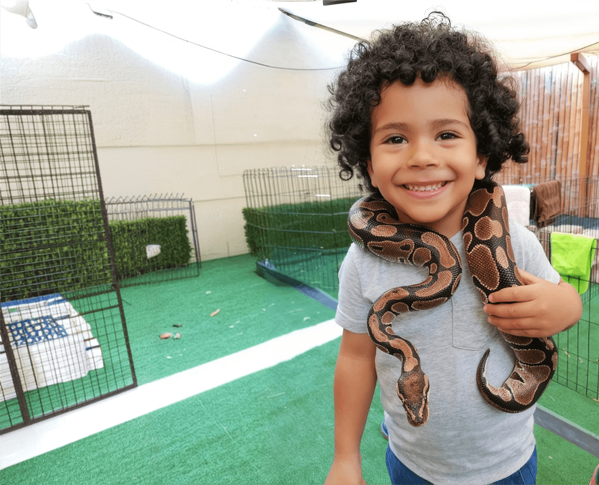 Smiling child holding a snake during an animal encounter at Ladybird Nursery